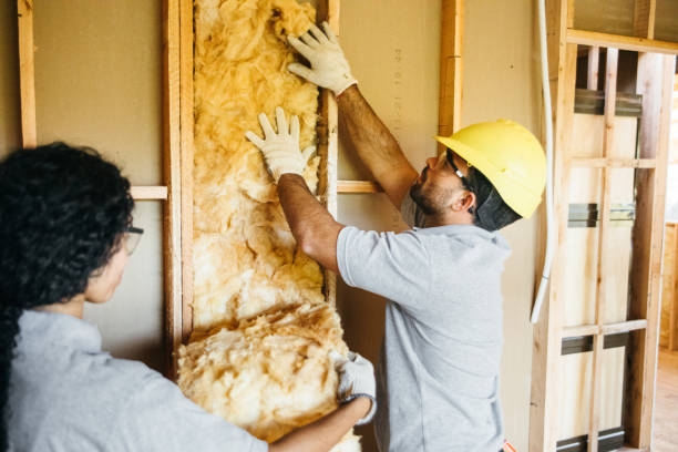 Best Commercial Insulation Services  in Niagara University, NY