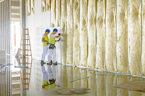 Best Blown-In Insulation  in Niagara University, NY